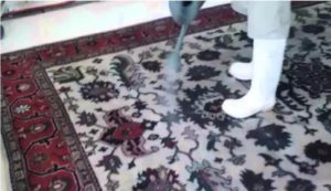 The proper way to clean your persian rug