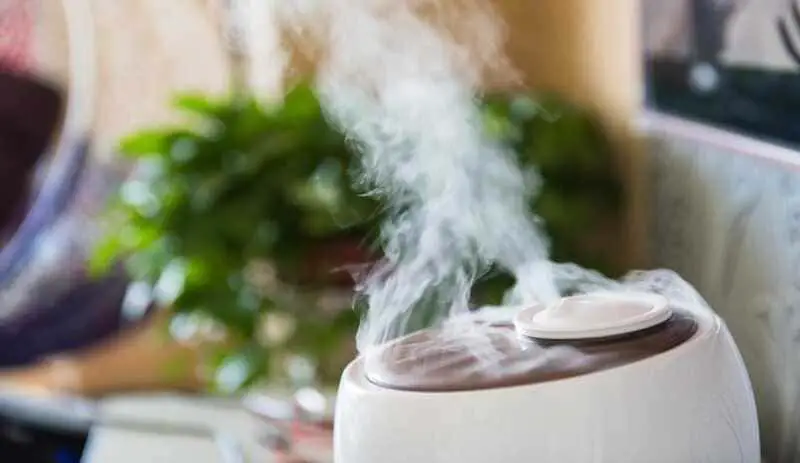 How to remove pink mold in the humidifier. 