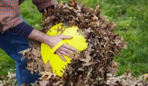 Safety tips when picking up leaves from the garden.