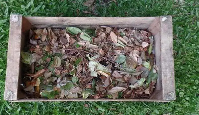 How to prepare an organic compost for your garden.