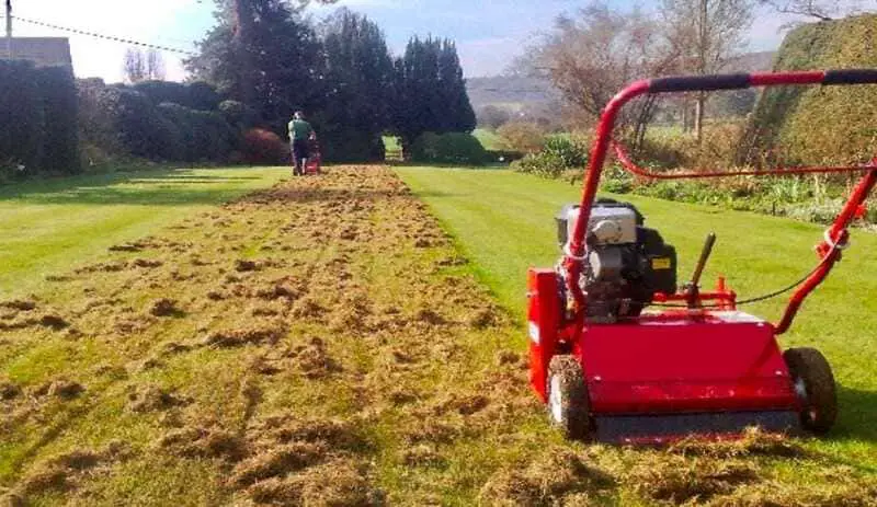 How to scarify grass.