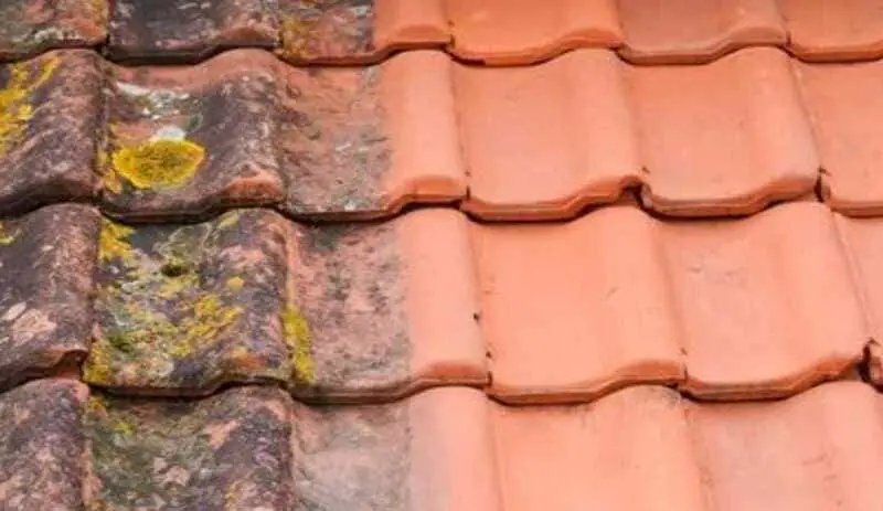 How to clean terracotta tiles at home.