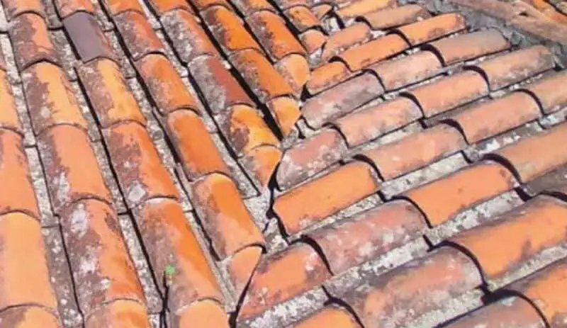 How to program the maintenance of terracotta tiles at home.