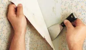 How to remove wallpaper at home.