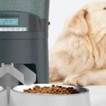 Importance of automatic pet feeders.