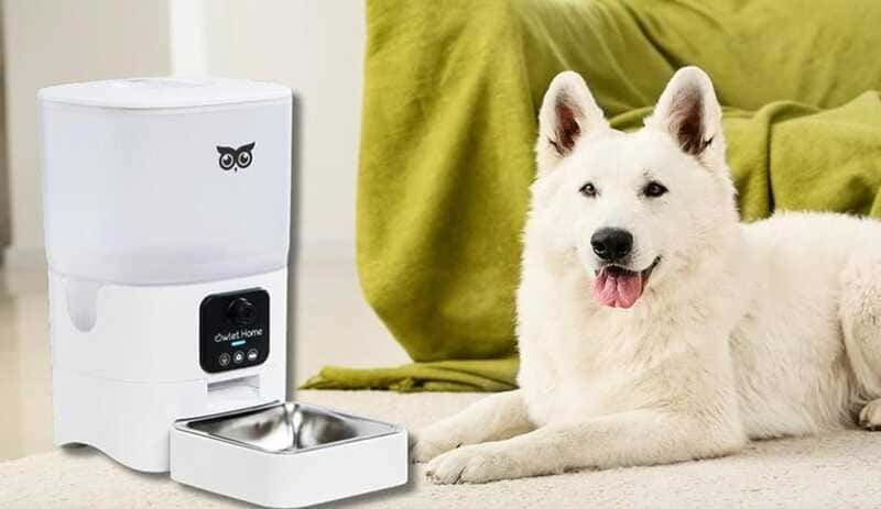 Significance of automatic pet feeding systems.