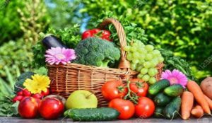 Benefits of growing your own fruits and vegetables.